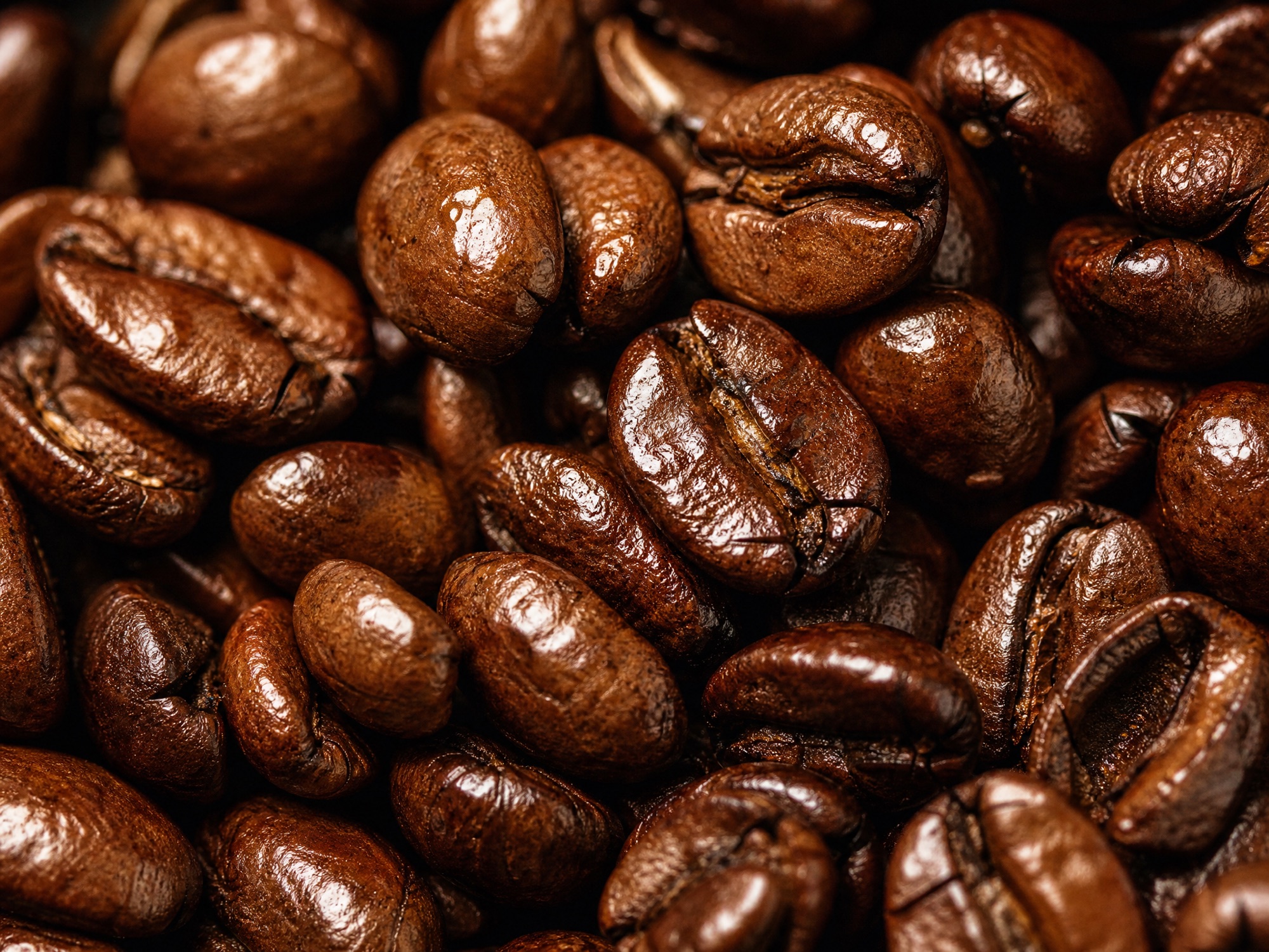 Macro photograph of glossy roasted coffee beans